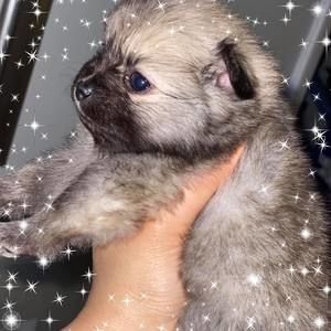 Meet your Posher, Ciara